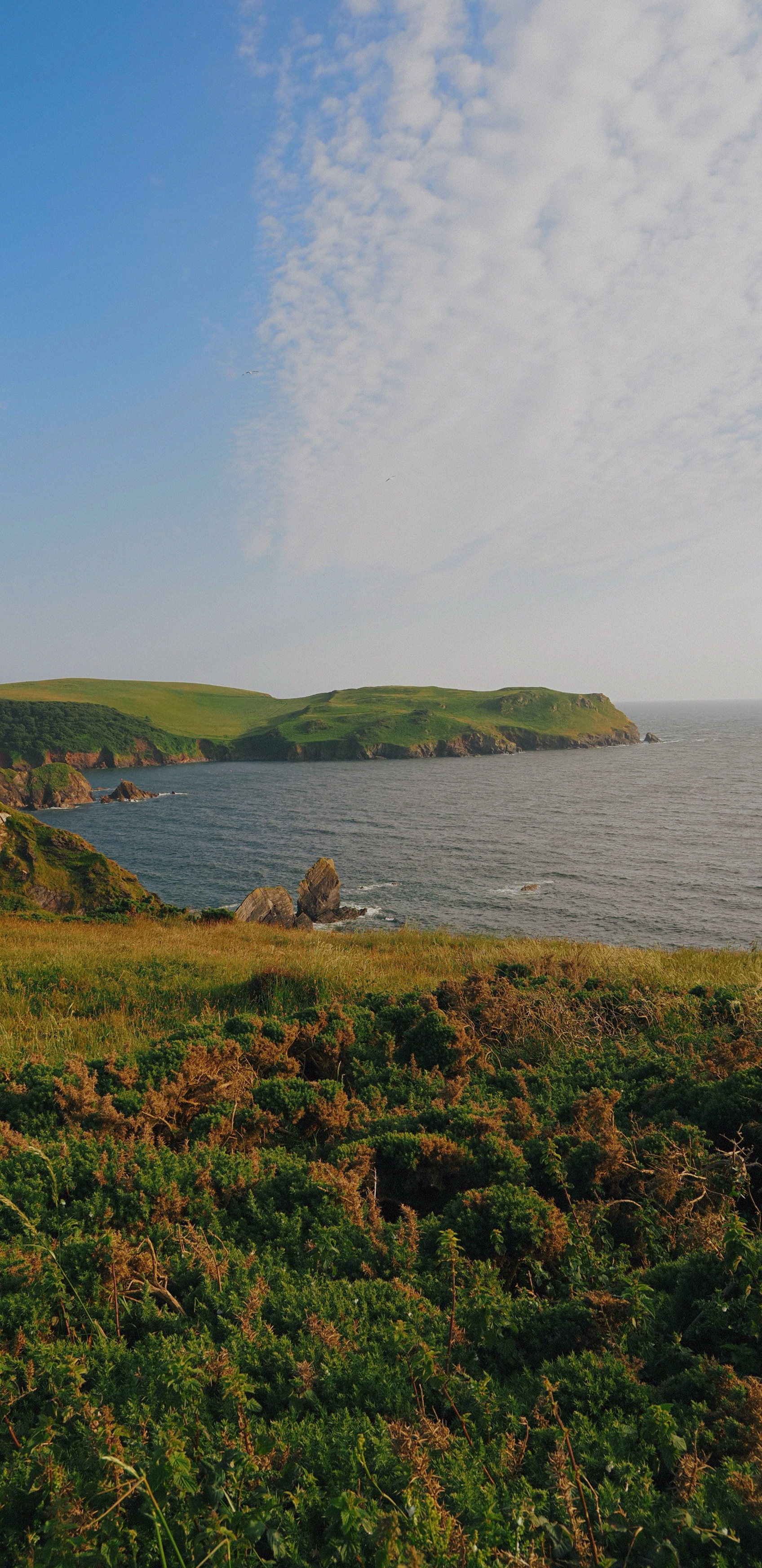 Coastline